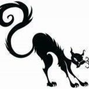 Meet your Posher, Lee